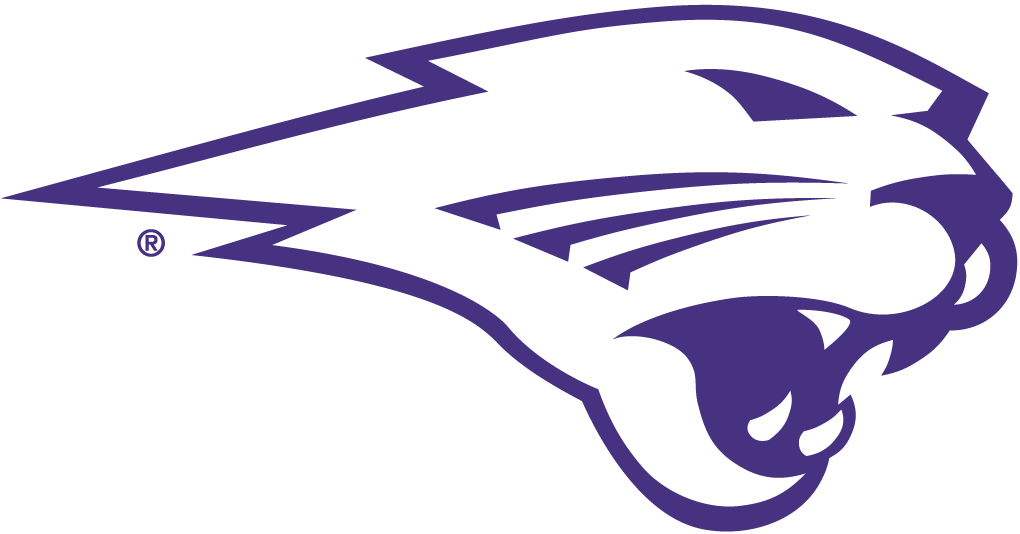 Northern Iowa Panthers 2002-2014 Partial Logo 01 iron on paper